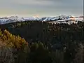 Hirschberg am Pfänderrücken, im Hintergrund Hoher Ifen und Winterstaude