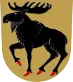 Wappen von Hirvensalmi