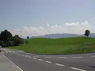 Hirzel