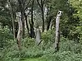 Installation „Pfeil“ am Kulturpfad „Steine ohne Grenzen“