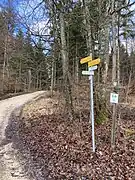Hochberg (2022), Wegkreuzung am Hochbergweg
