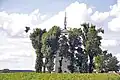 Hochbunker der Luftwaffe bei Röhrmoos und Schönbrunn.