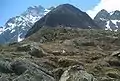 Hochwaidkopf und Rofelewand