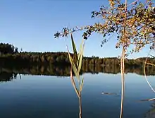 Höllerersee