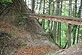 Halsgraben im Norden