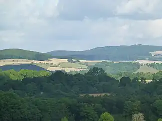 Blick von Südosten in einen Teil des Dransfelder Stadtwaldesmit dem auf dem Hohen Hagen stehenden Gaußturm