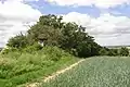 „Vorderer Kuhgraben“ von Osten