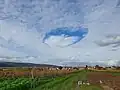 Drei Fallstreak Clouds in der Pfalz über Ruppertsberg