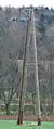 Holzmast