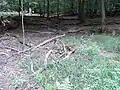 Nord-Ast durch Laubwald zum Grenzweg
