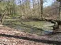 Quellteich