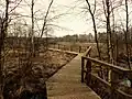 Holzweg im Dosenmoor