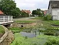 Teich
