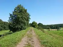 Alte Trasse der Strecke Friedberg–Mücke (Horlofftalbahn) vor Laubach