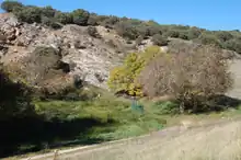Source of the Henares in the village of Horna