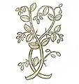 Hortus sanitatis 1491