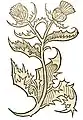 Hortus sanitatis 1491. Abbildung der Mariendistel zum Kapitel yringus. astaruticon