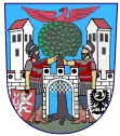 Wappen von Hostinné