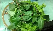 Houttuynia cordata