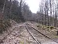 Bahnstrecke beim Haltepunkt Amselgrund (2016)