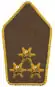 Schulterstück (Pioniertruppe)