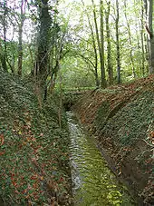 Kanalisierter Duffesbach,  Grenze Efferen/Köln.