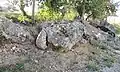 Dolmen des Gats Fleuris