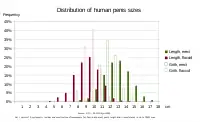 Verteilung der Penisgrößen. Erigierte Penisse (grün) sind zu 45 % zwischen 12 und 14 cm lang und haben zu 81 % einen Umfang zwischen 10 und 13 cm.