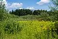 Blick ins Naturschutzgebiet
