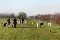 Hundemeile