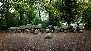 Das Großsteingrab D27 in Borger