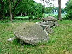 Das Großsteingrab D32 bei Odoorn