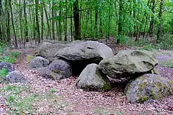Das Großsteingrab D7 bei Schipborg