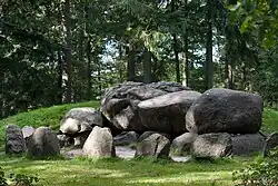 Das Großsteingrab D49 bei Schoonoord