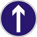 D-1Vorgeschriebene Fahrtrichtung – geradeaus