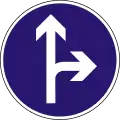 D-5Vorgeschriebene Fahrtrichtung – geradeaus oder rechts