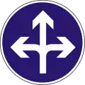 D-11Vorgeschriebene Fahrtrichtung – rechts, geradeaus oder links