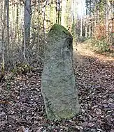 Hunnenstein im Wald bei Niederdossenbach