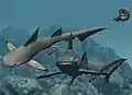 Hybodus fraasi