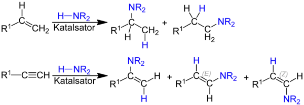 Hydroaminierung.