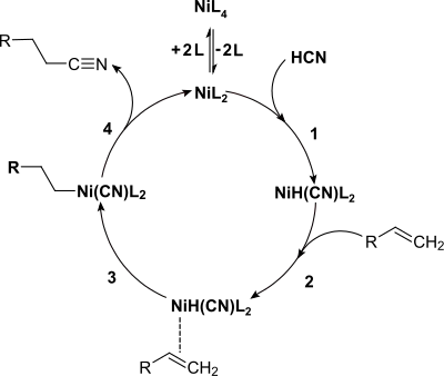 Allgemeiner Katalysecyclus der Hydrocyanierung