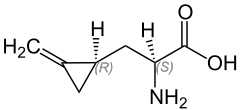 Strukturformel von Hypoglycin