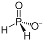Struktur des Hypophosphit-Ions