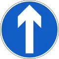 RUS-004vorgeschriebene Fahrtrichtung – geradeaus