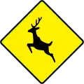 W-153Hirsche oder Wildtiere