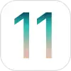 IOS 11 logo
