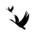 TC 011: Vogelschutzgebiet