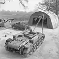 Crusader ARV