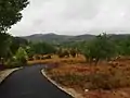 Landschaft im Inneren der Insel
