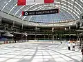 Die Eisbahn